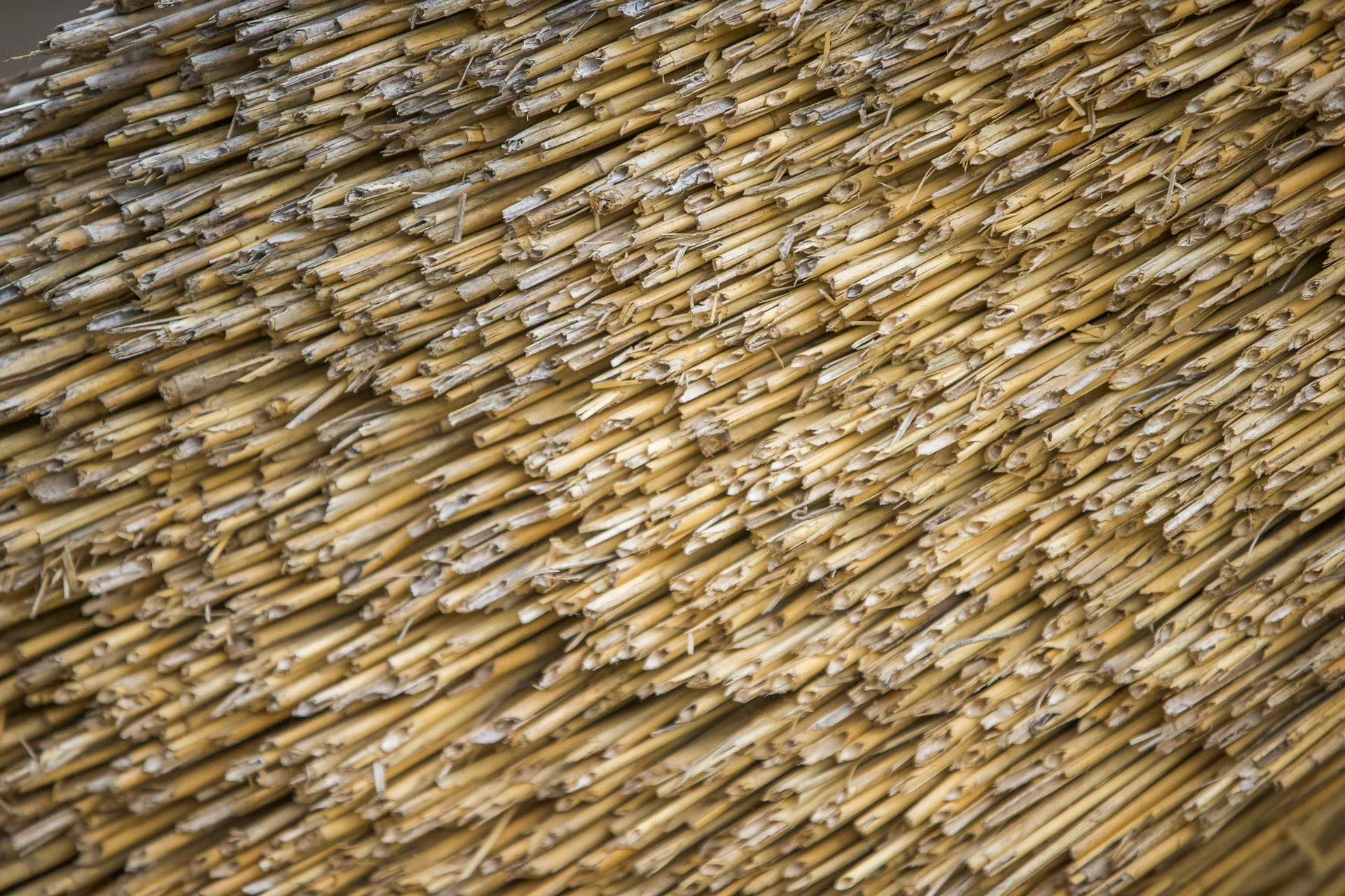 domaine_dablon_matieres_et_textures©stephaneleroy-7034.jpg