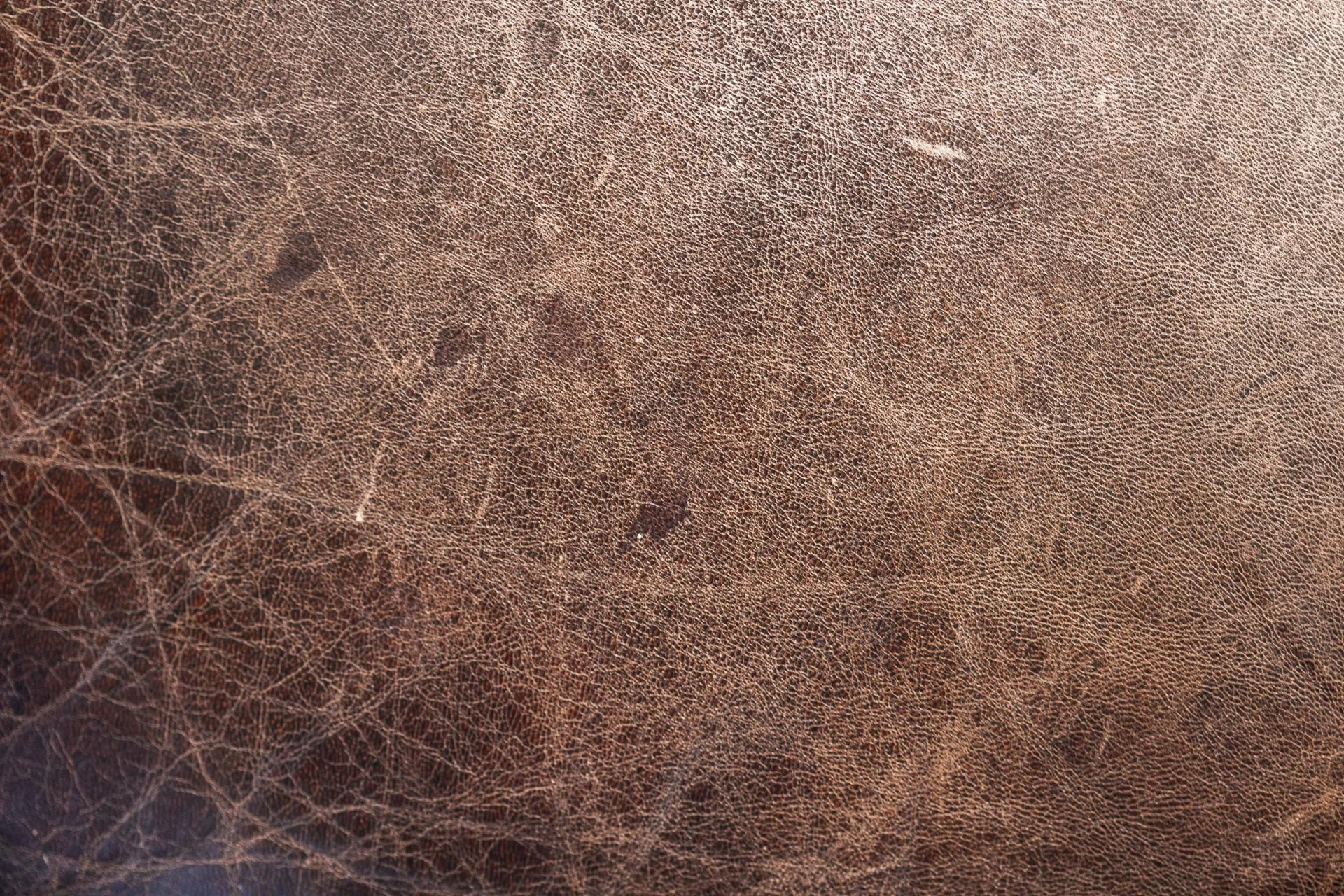 domaine_dablon_matieres_et_textures©stephaneleroy-9624.jpg