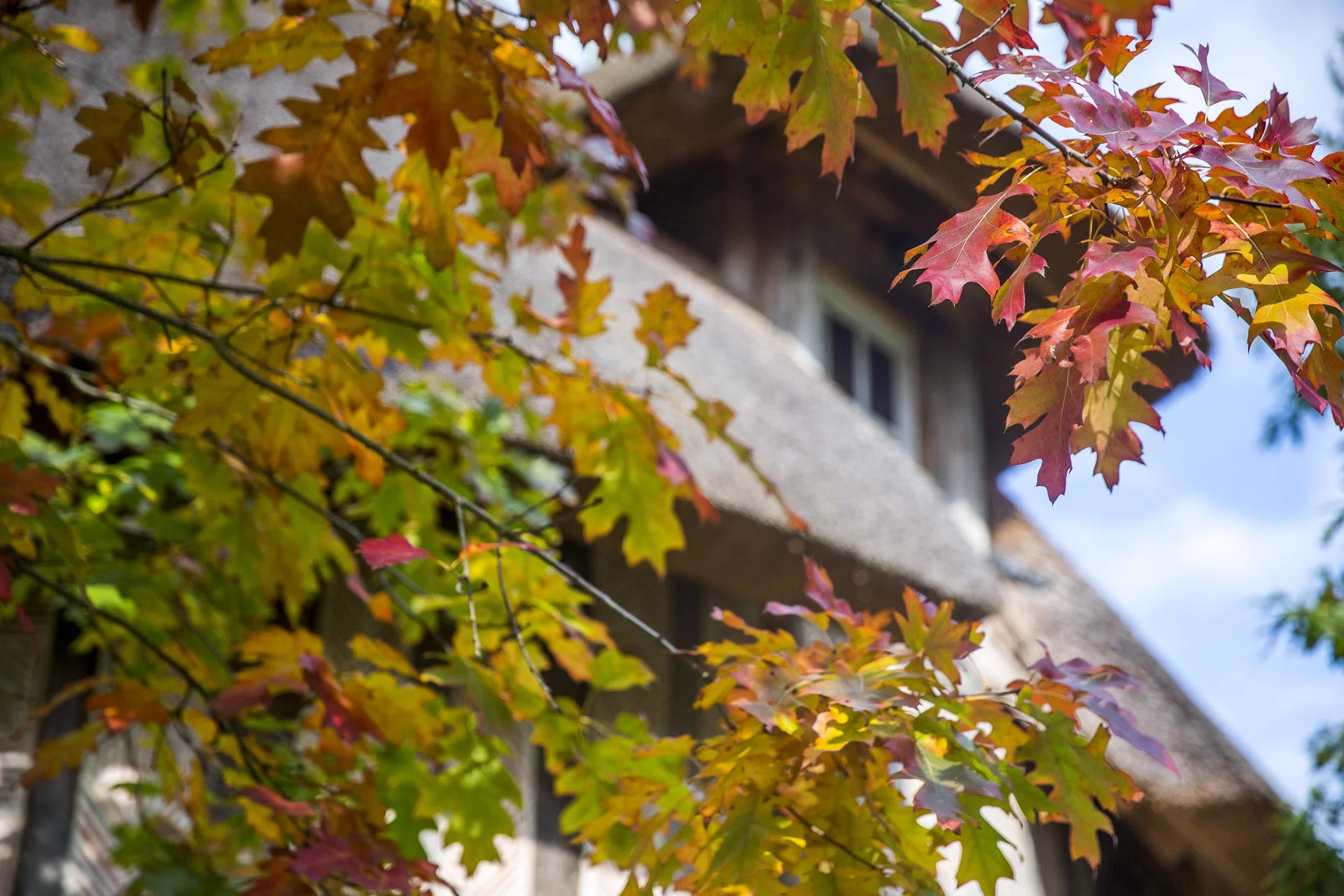 domaine_dablon©stephaneleroy-E61R7954-3.jpg