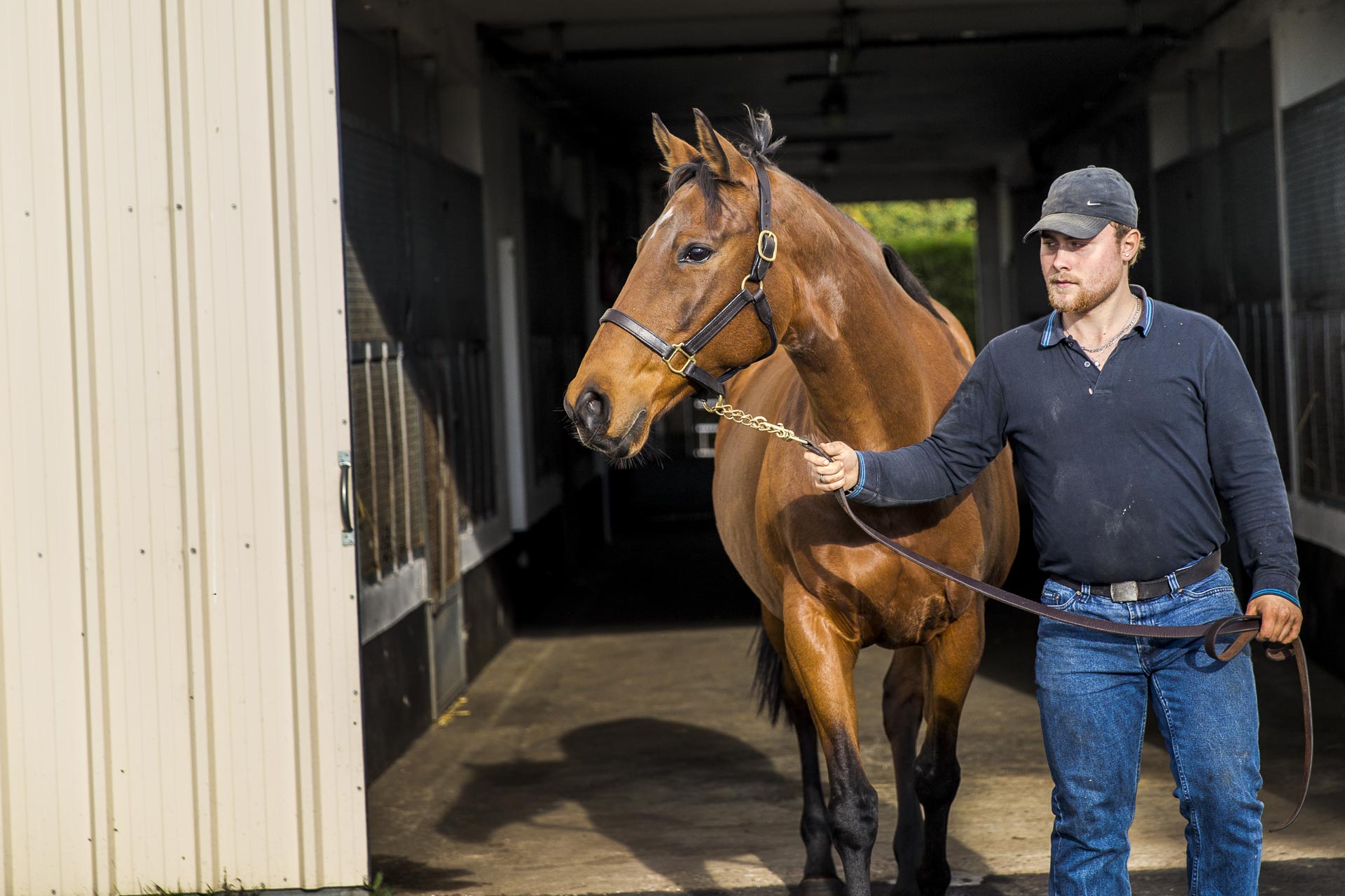 visite_haras©stephane_leroy-E61R1238-3.jpg