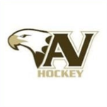 AV Youth Hockey Logo.png