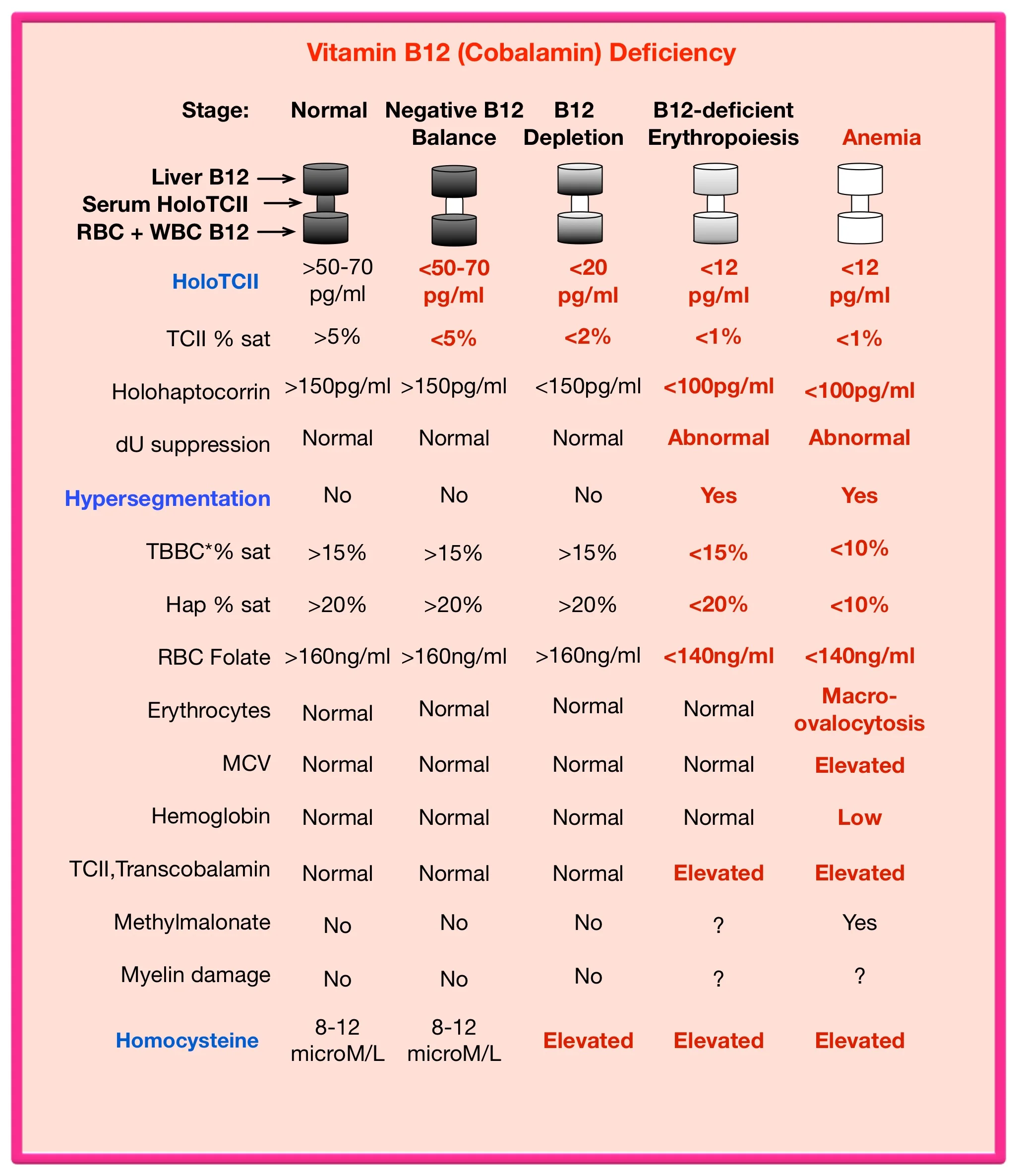 Dr Victor Herbert's visualization of the stages of B12 deficiency. Many physicians are unaware of the symptoms accompanying the earliest, measurable changes of B12 insufficiency/deficiency. Symptoms include peripheral neuropathy, weakness, forgetfulness, depression and other mental changes. However, as noted above, there are several available laboratory tests that can document the presence of early B12 deficiency.
