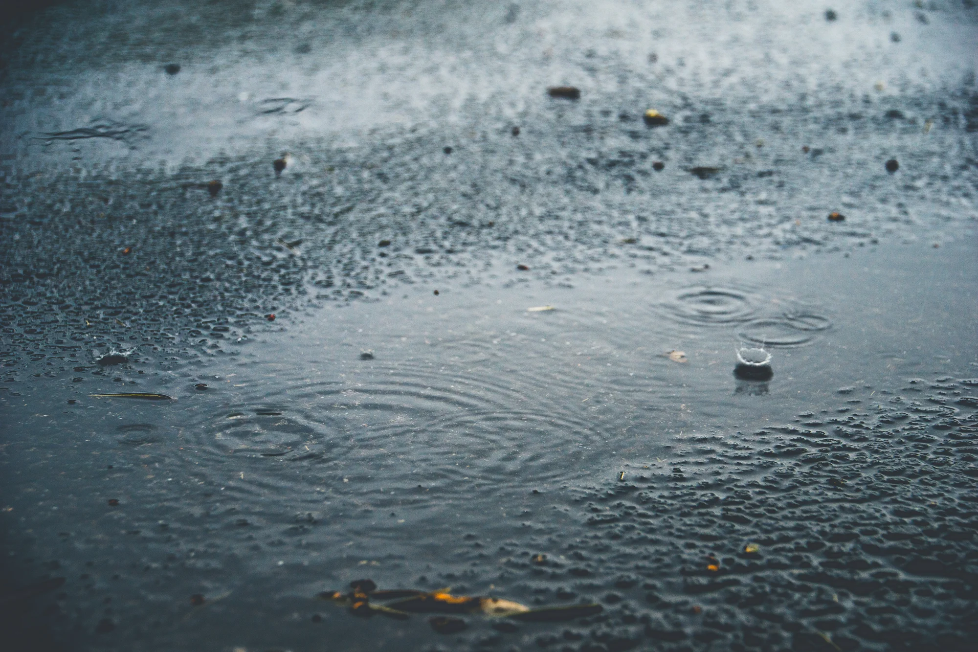 #FamilyFriday | April Showers