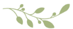 olive branch.png
