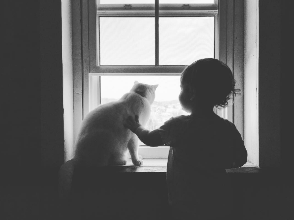 5 Things You Didn't Know About Our Weird Cat Hatach