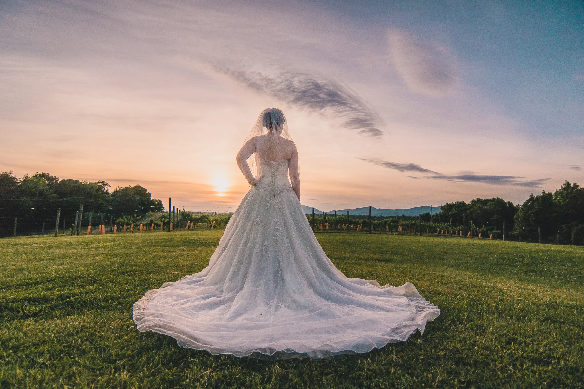 Amanda's Vineyard Bridal Portraits | Lynchburg Wedding Photographers in Goode, VA
