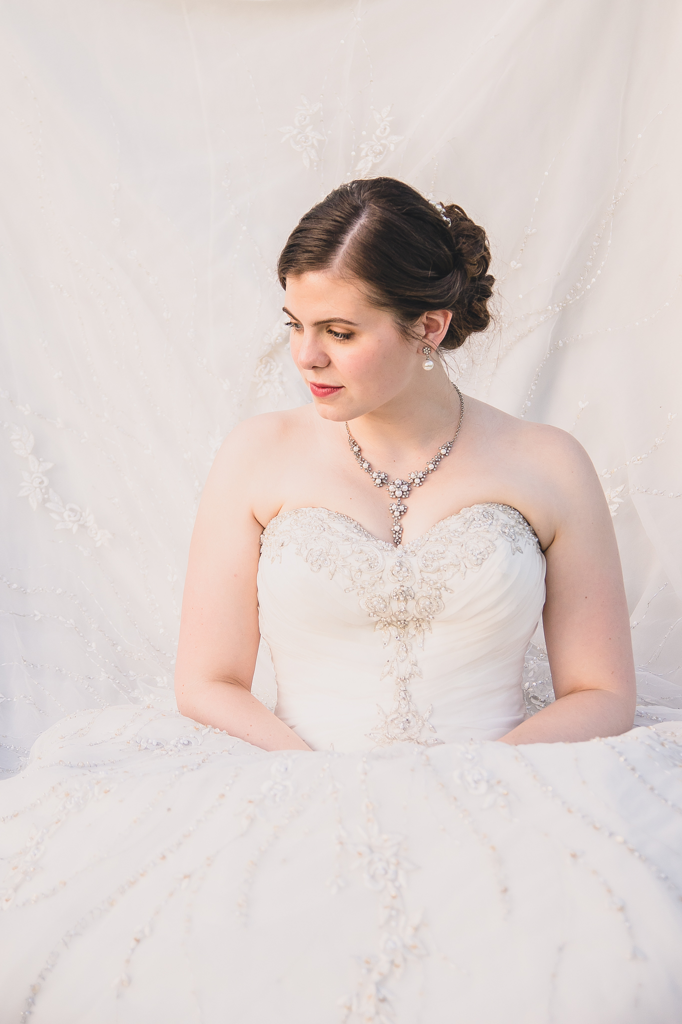 bridal portraits at leo grande vineyard winery by jonathan hannah photography