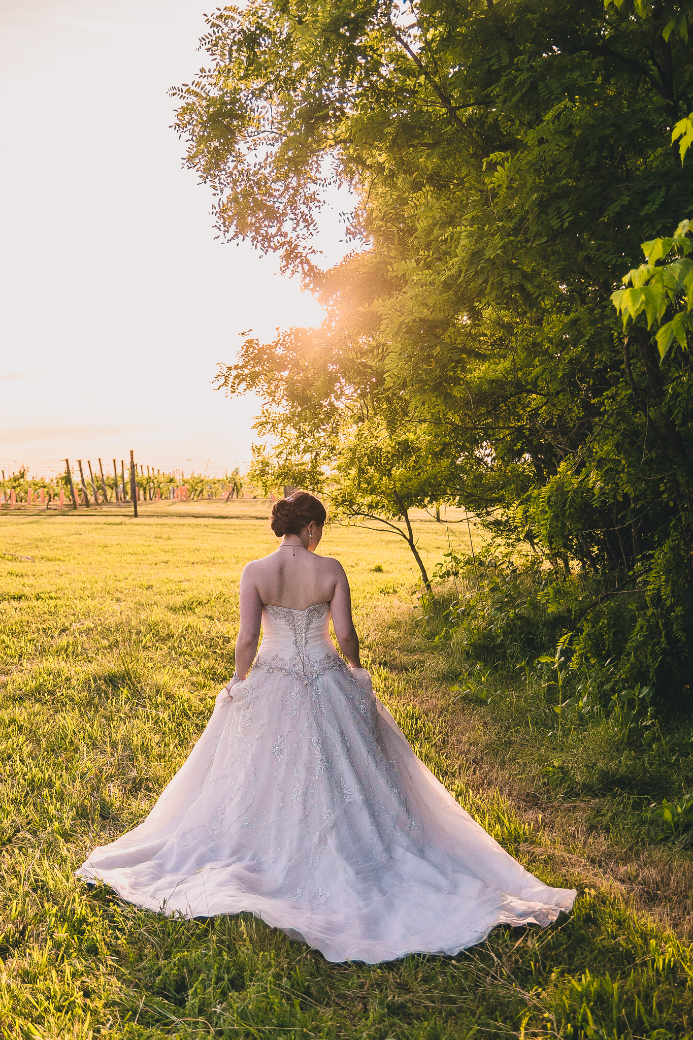 bridal portraits at leo grande vineyard winery by jonathan hannah photography