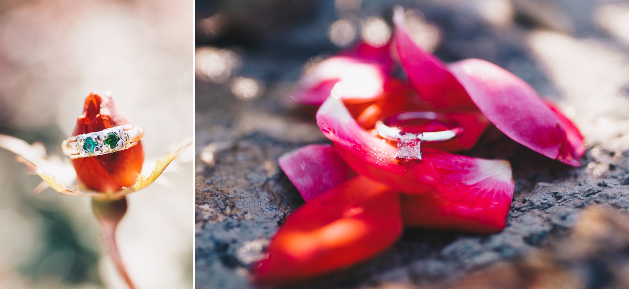 simple elegant fun engagement session at bella rose plantation lynchburg va by jonathan hannah photography
