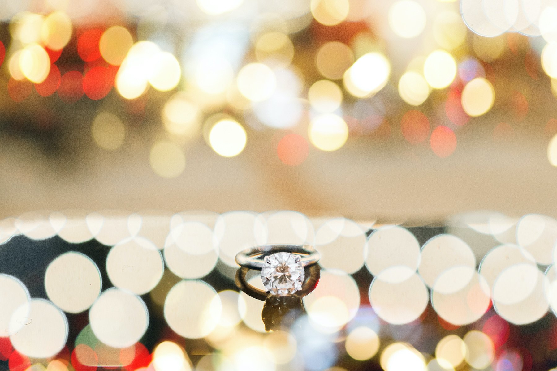 alex-kathy-elegant-fun-engagement-session-university-of-virginia-uva-campus-by-jonathan-hannah-photography-92.jpg