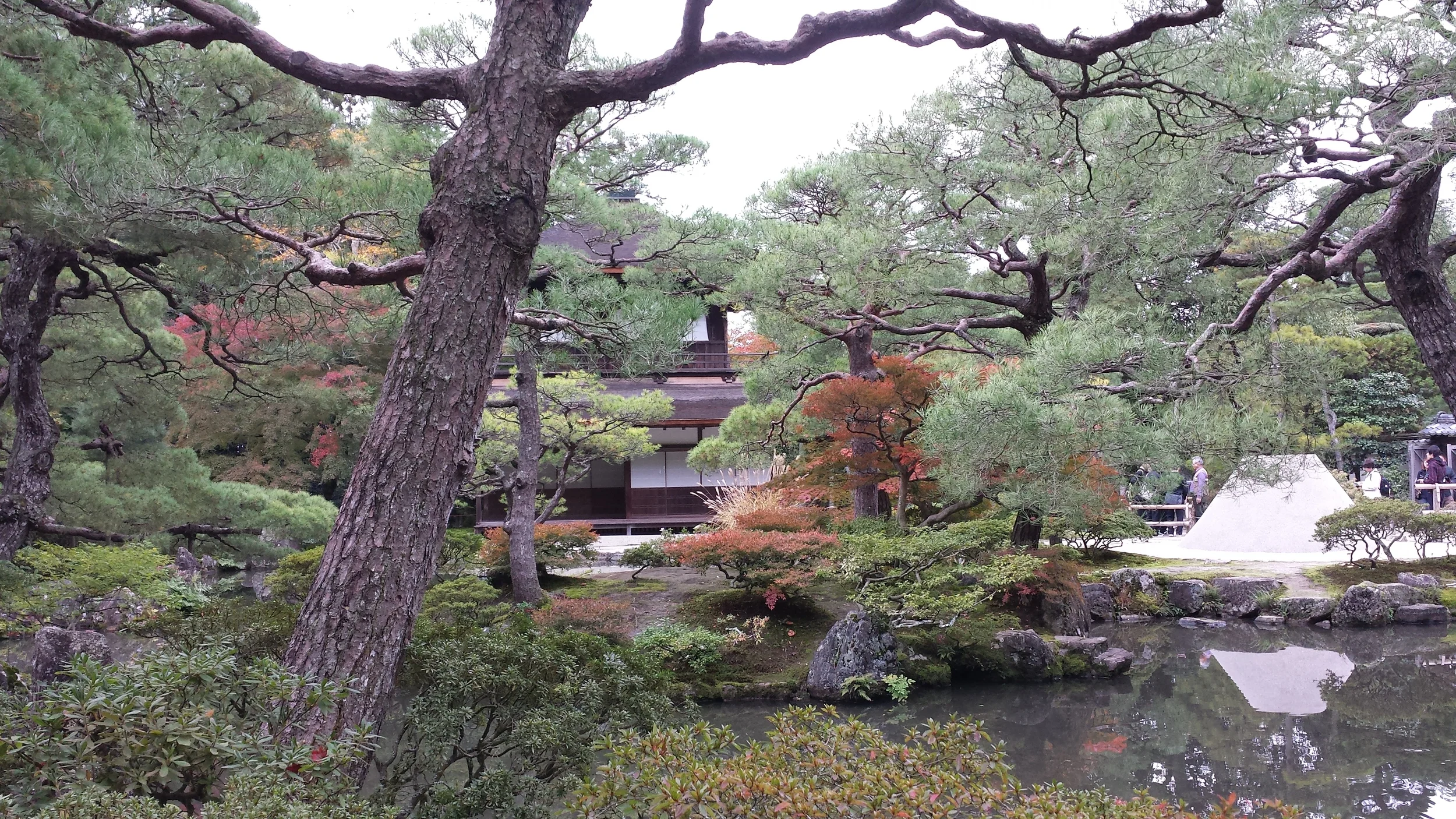 20131108_180335.jpg