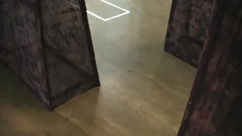 Absent Walls 2011 e Gudrun Nielsen.jpg