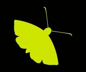Moth Story Slam