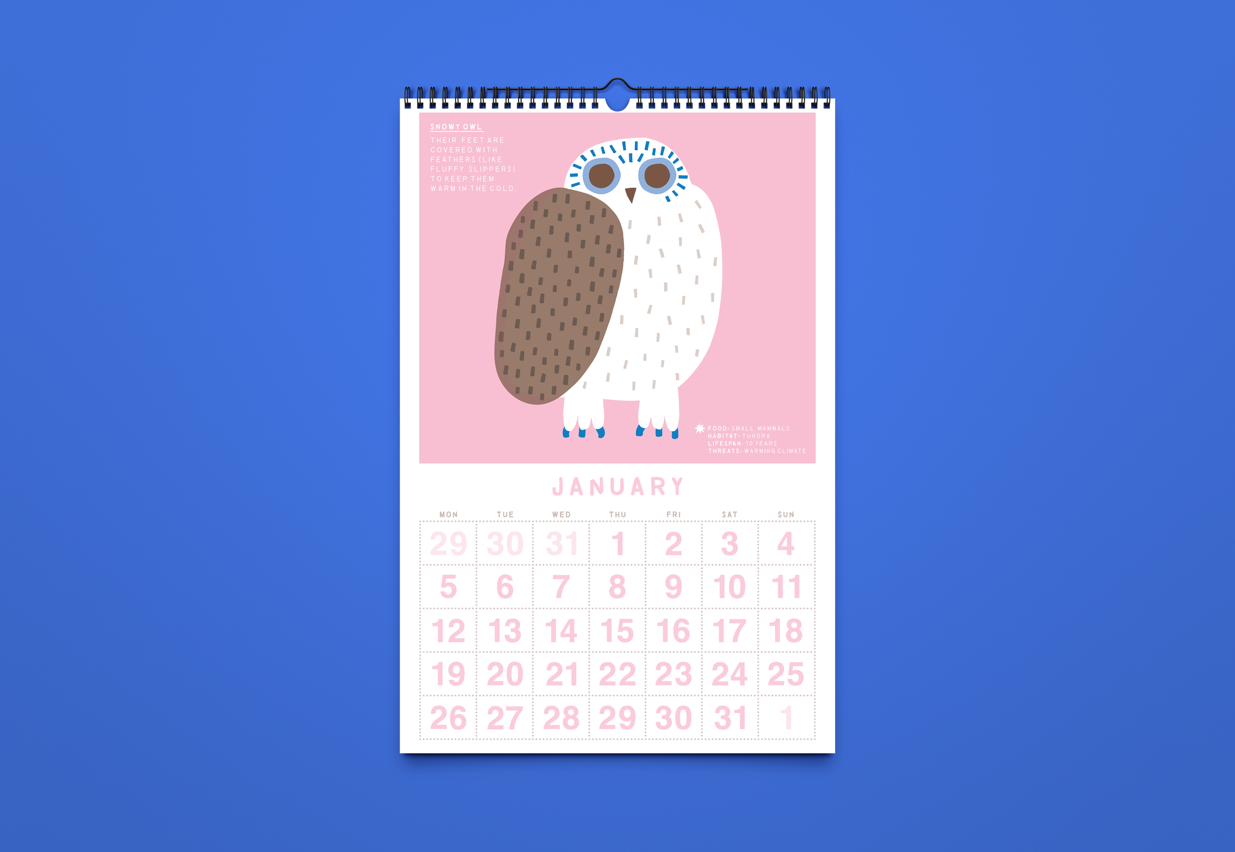 Calendar 2027_Mockup_1.png