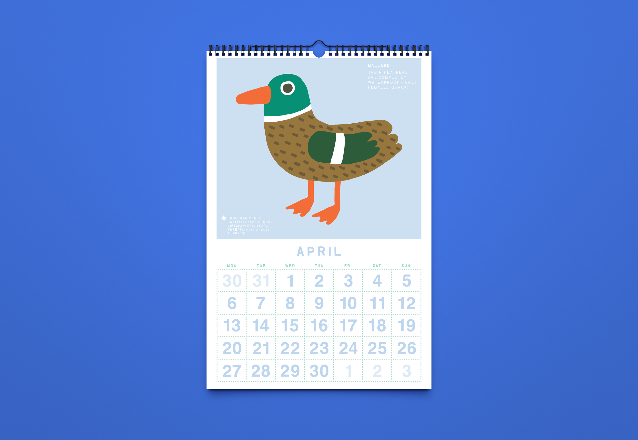 Calendar 2027_Mockup_10.png