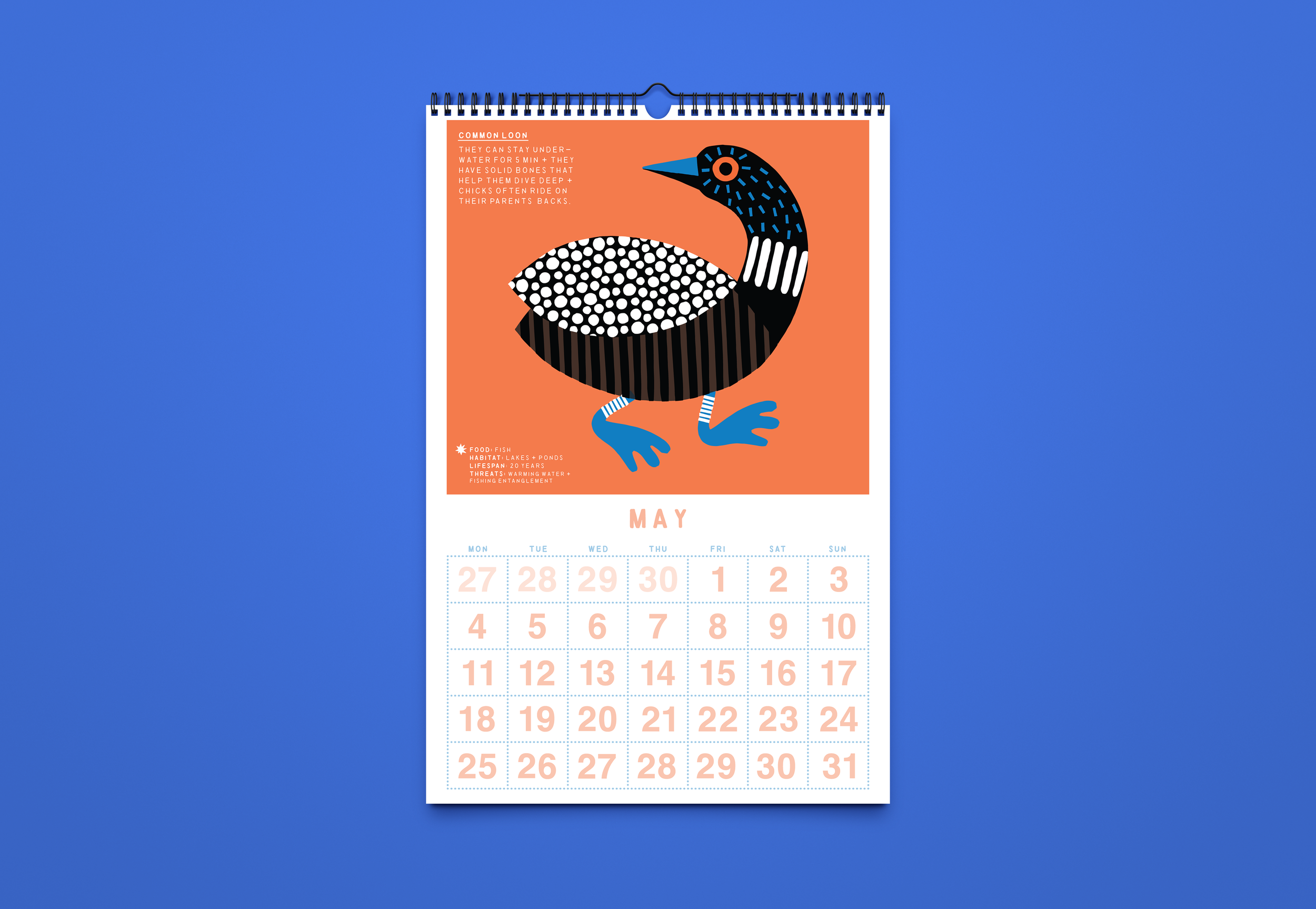 Calendar 2027_Mockup_9.png