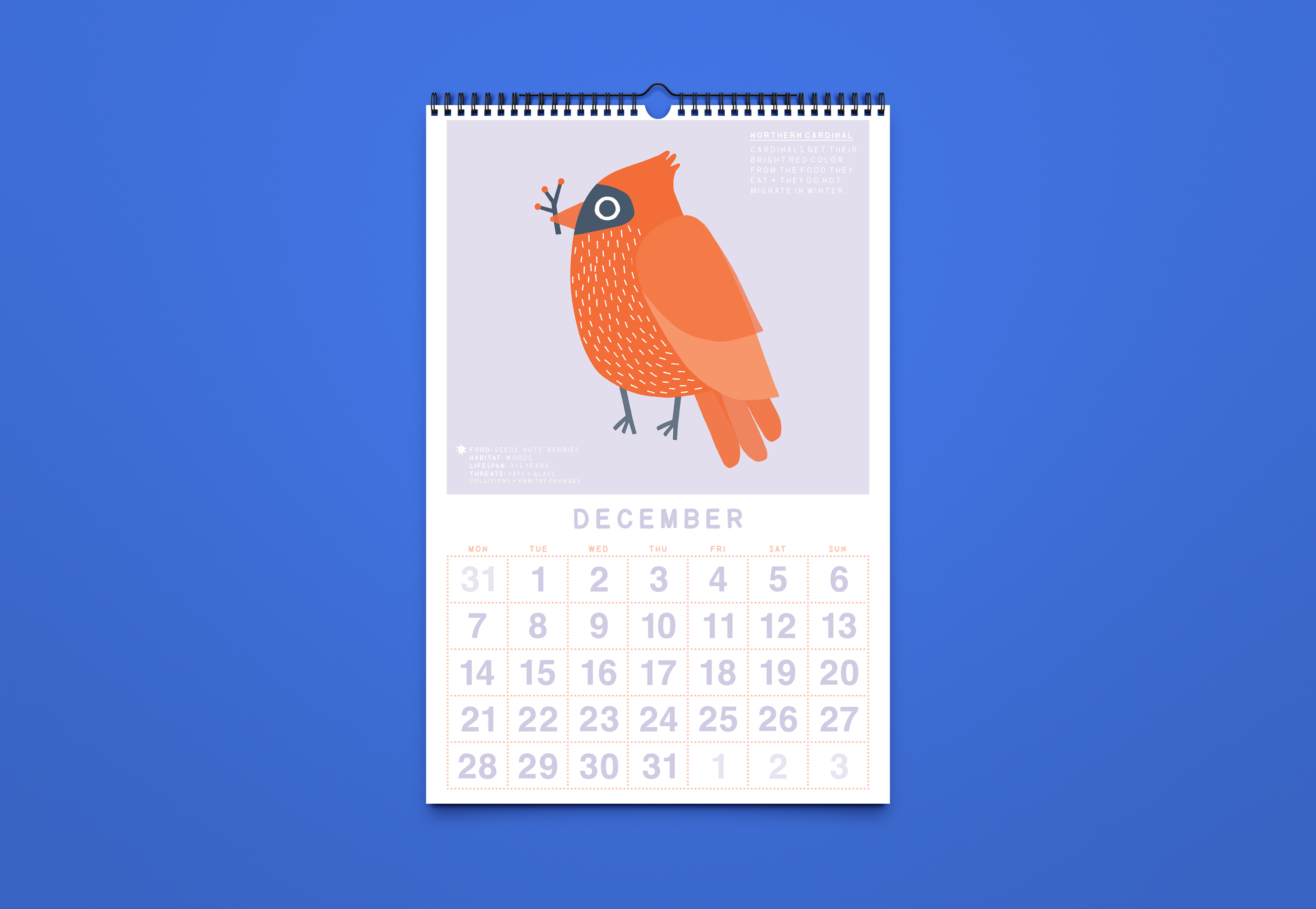 Calendar 2027_Mockup_2.png