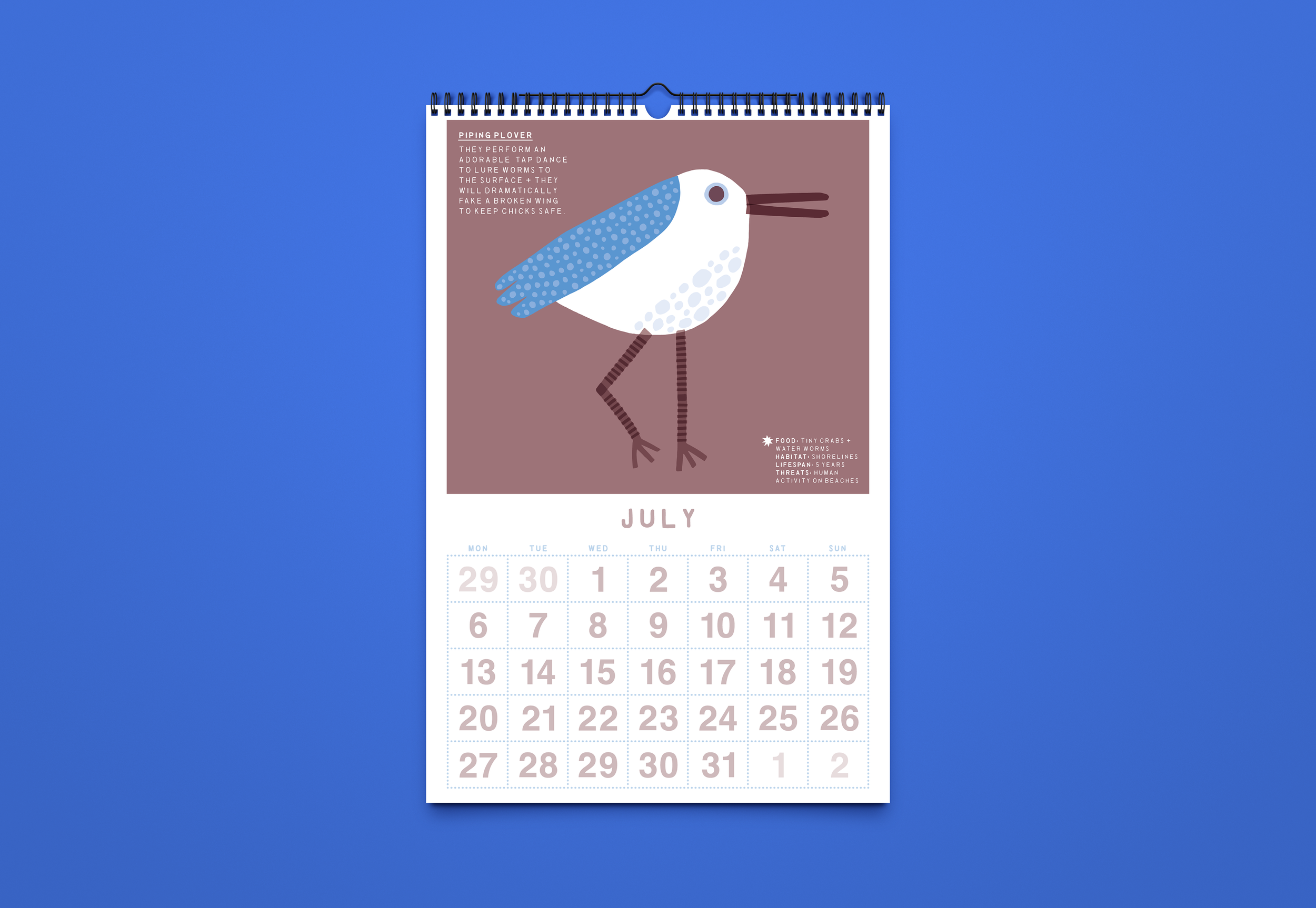 Calendar 2027_Mockup_7.png