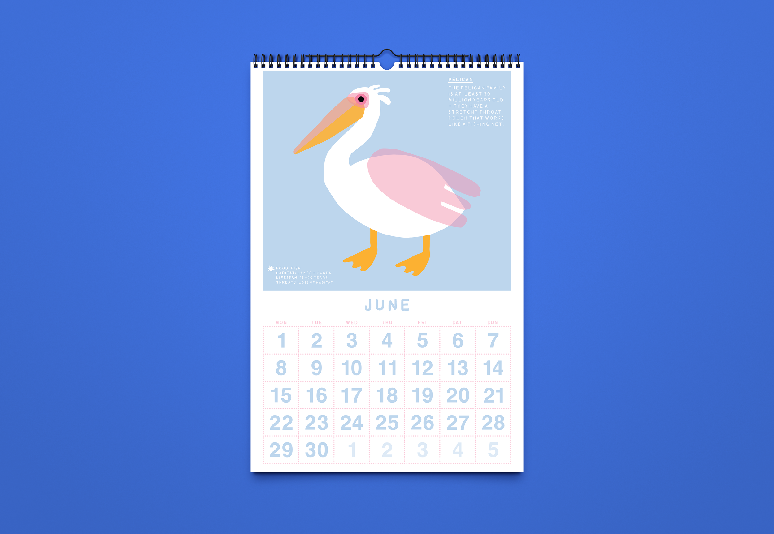Calendar 2027_Mockup_8.png