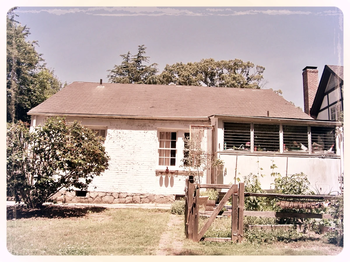 Rear Elevation - Before