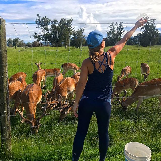 Feeding the reindeer to get them ready for the big night...
.
#myhousefirstplease 
#christmasiscoming #vacationforever #yearoftravel