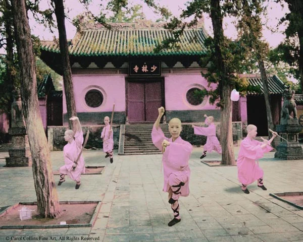 Pink Warriors