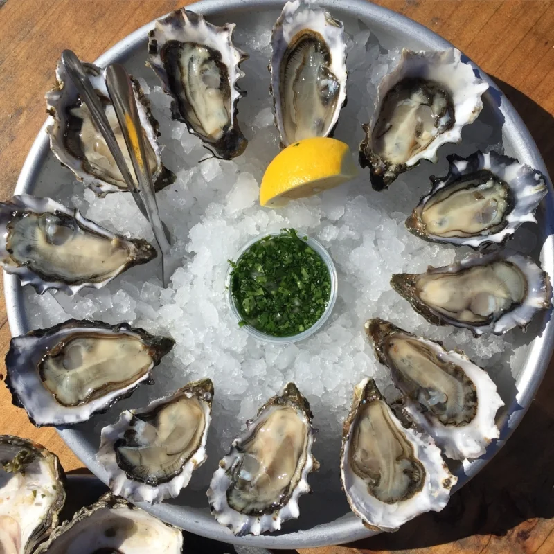 Meandering Around West Marin 