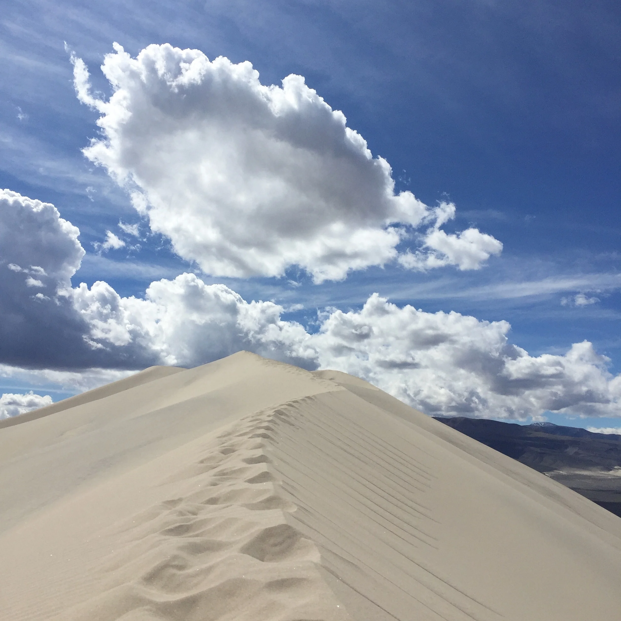 Four Points Adventures in Death Valley