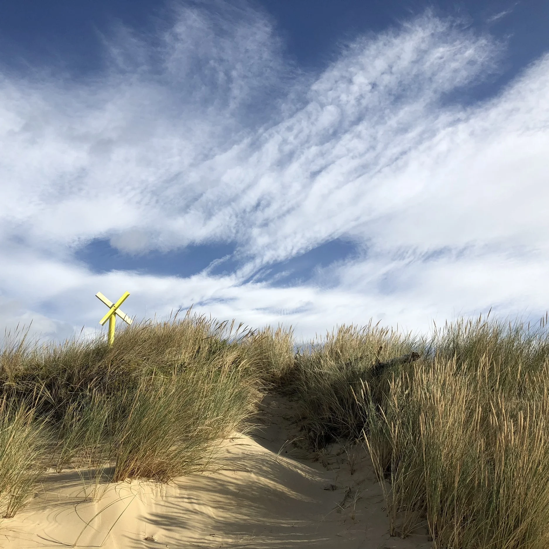 Discovering Tasmania