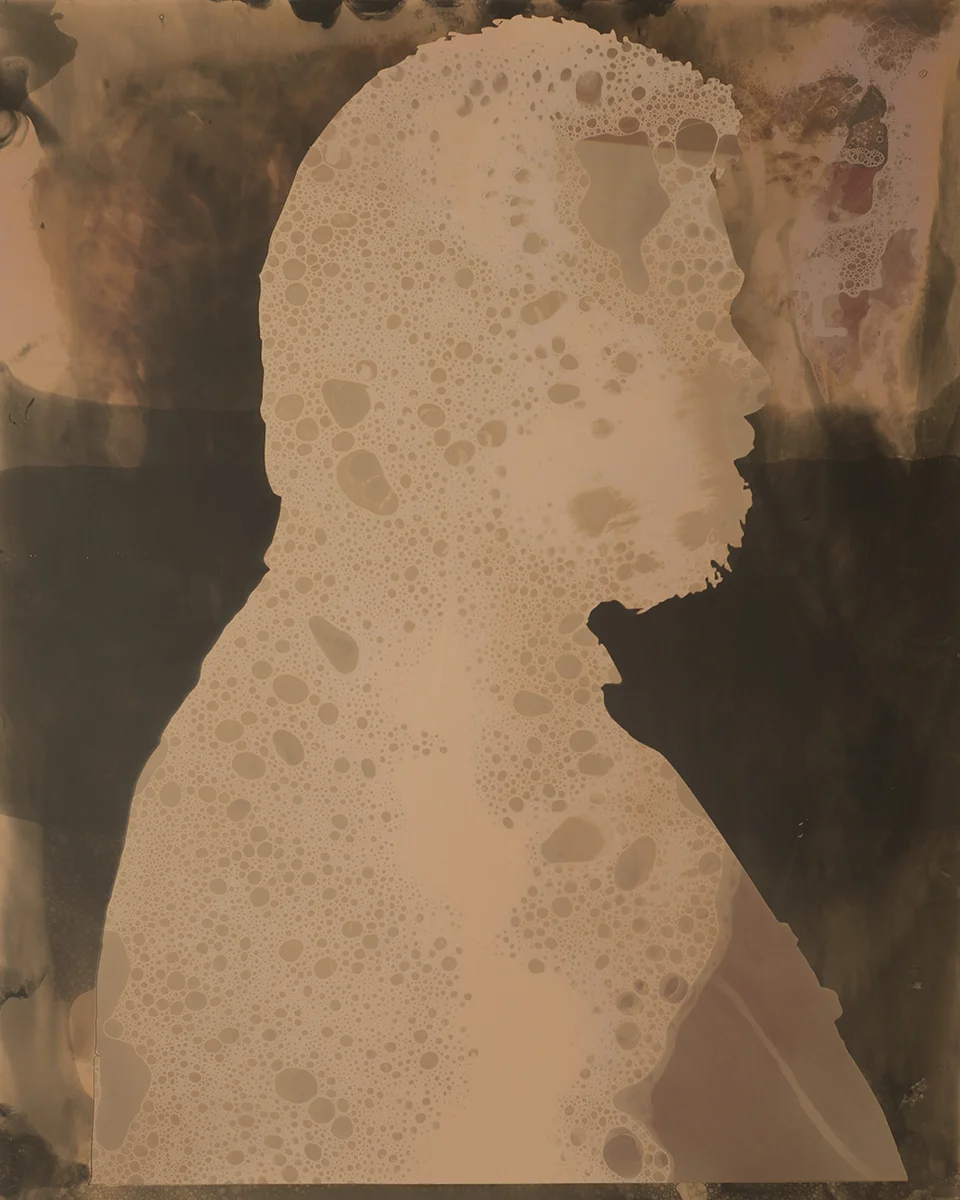 Mechanic 2 Chemigram 2017