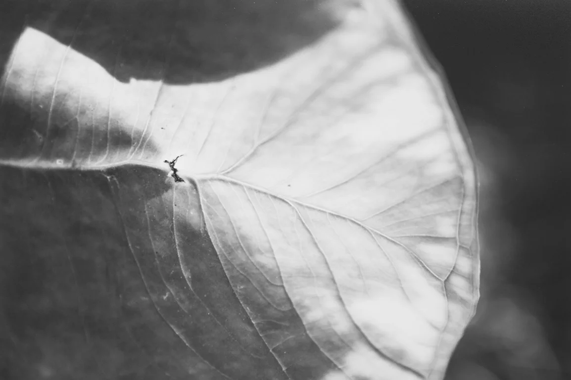 archival inkjet 2016