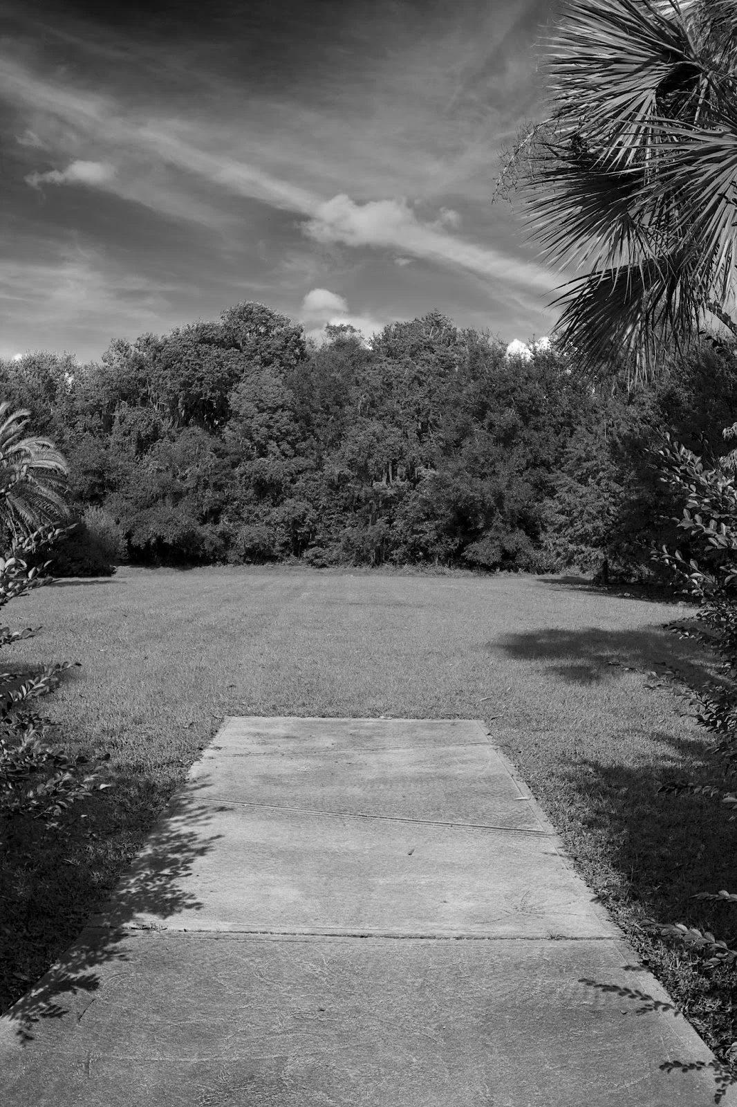 archival inkjet 2016