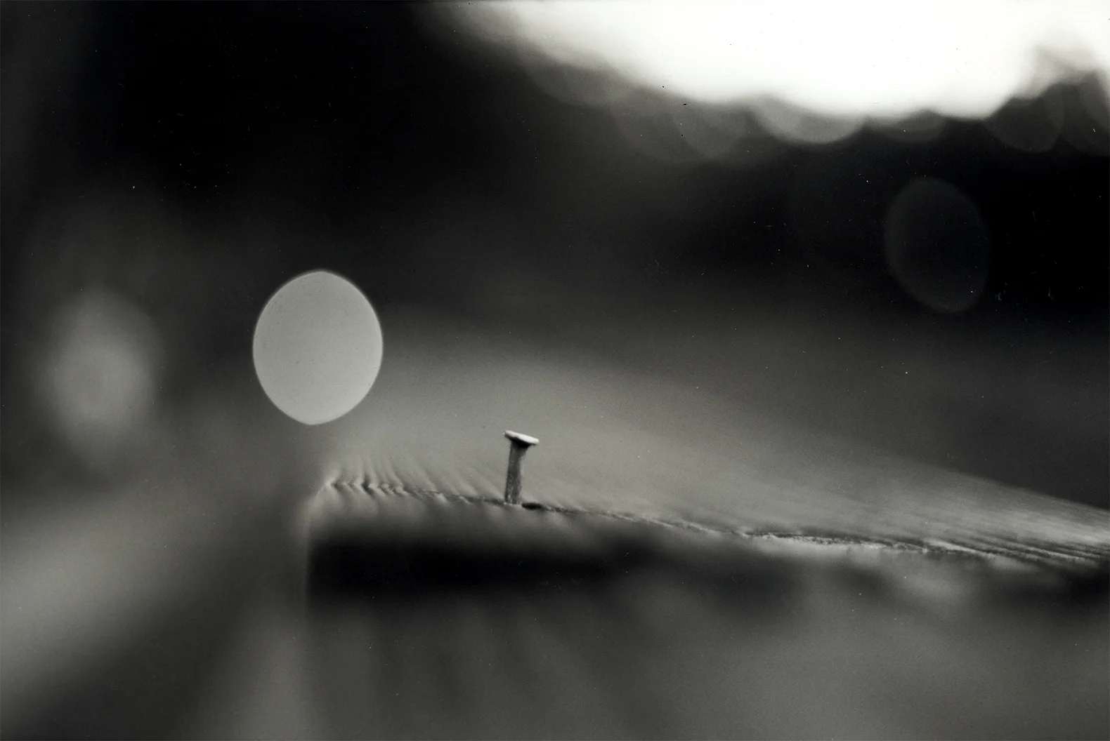 silver gelatin print 2017