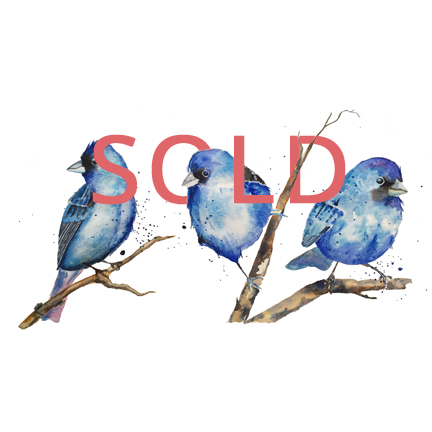 Three Blue Birds: 12x18, Watercolor
