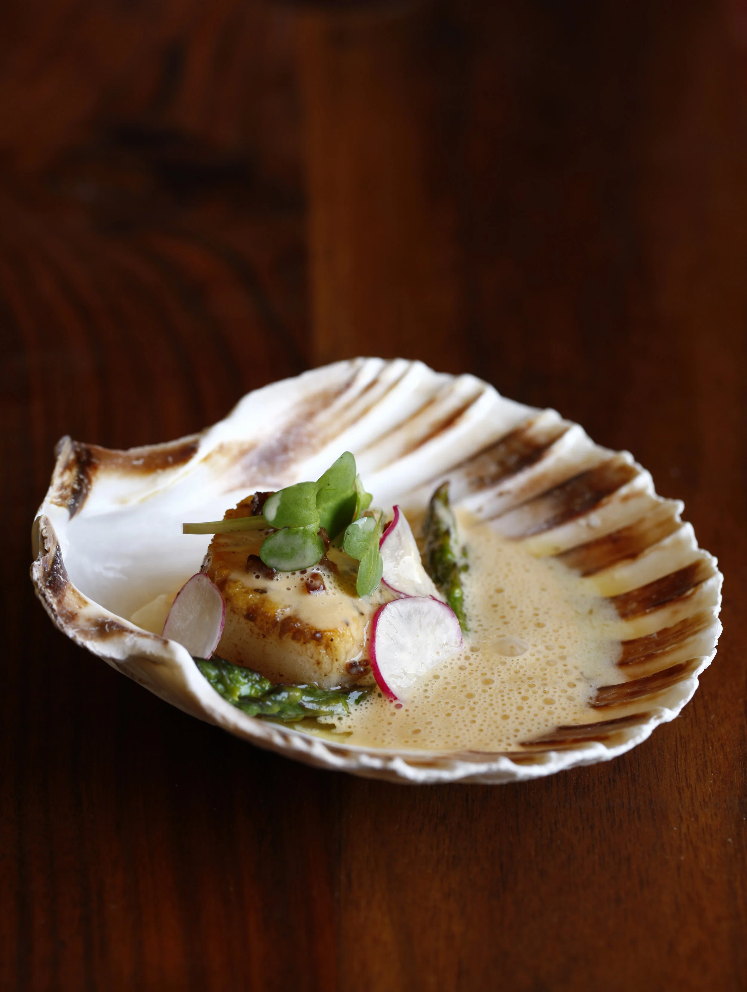Scallop_4159 FINAL Credit Jason Varney.jpg
