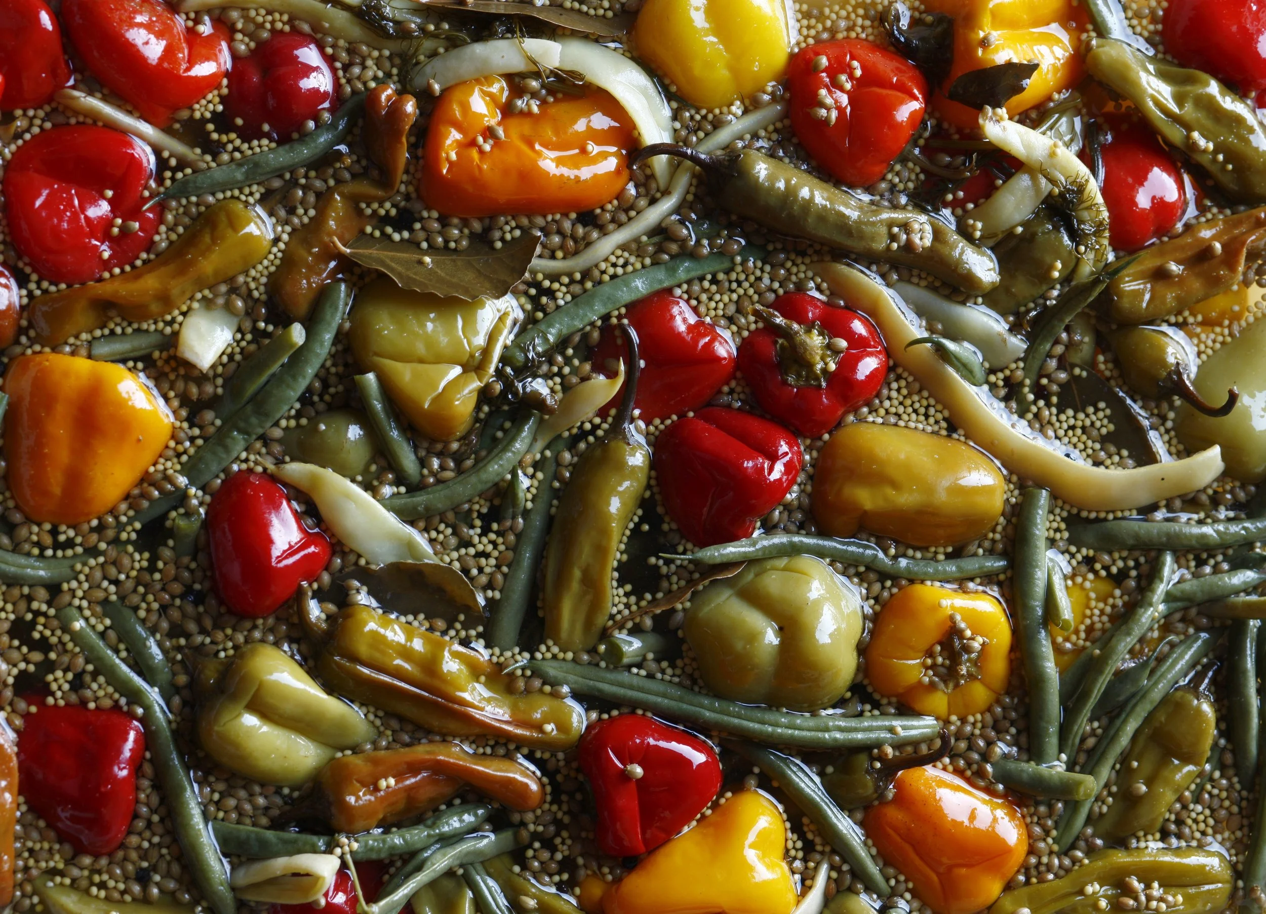 Pickles_3603 FINAL Credit Jason Varney.jpg