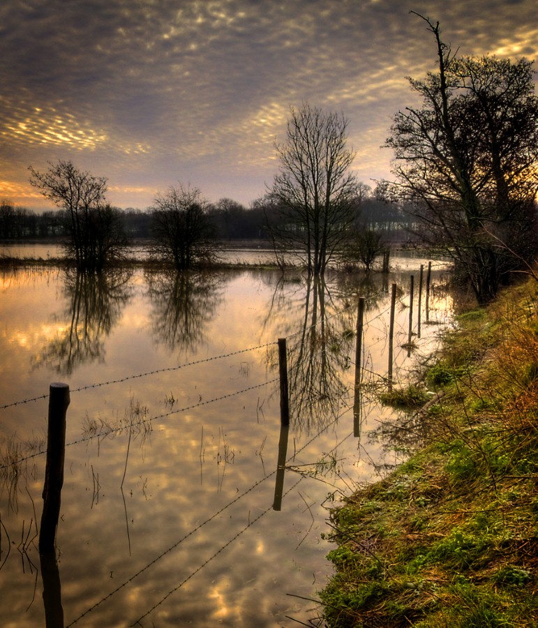 FLOODING BY THE ROTHER by Nick Chillingworth.jpg