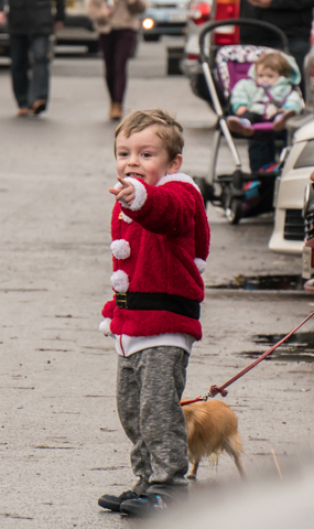  Christmas In Rye 2016 - Image by Veryan Pollard
 