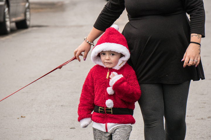  Christmas In Rye 2016 - Image by Veryan Pollard
 