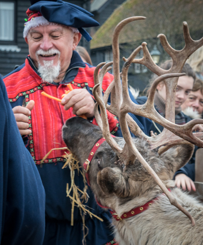  Christmas In Rye 2016 - Image by Veryan Pollard
 