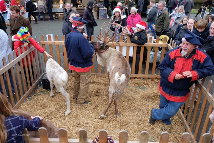 Christmas In Rye 2016 - Image By Ernie Lawrence