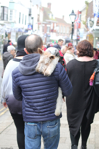  Christmas In Rye 2016 - Image by Nick Chillingworth LRPS
 