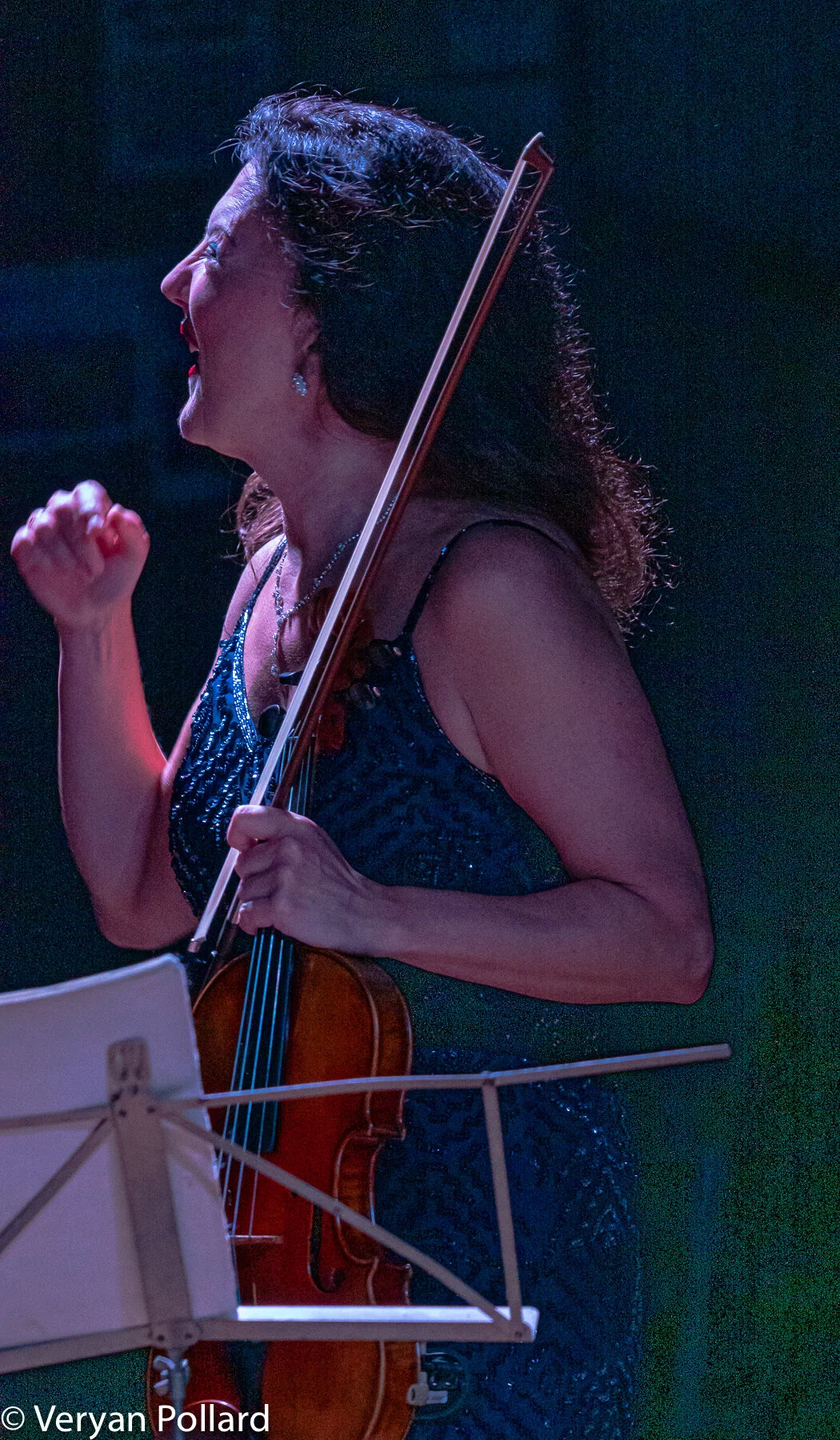 Rye Arts Festival 2019