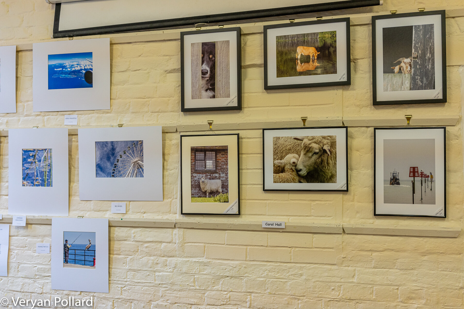  Rye and District Camera Club Print Exhibition 