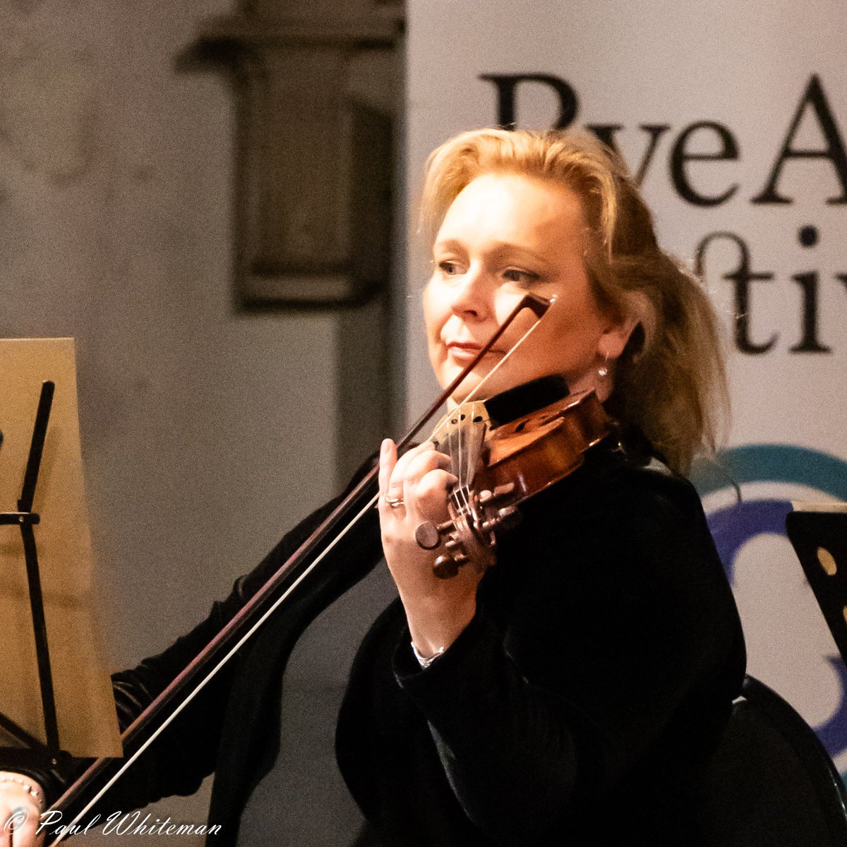 Rye Arts Festival Stringed Orchestra-1.jpg