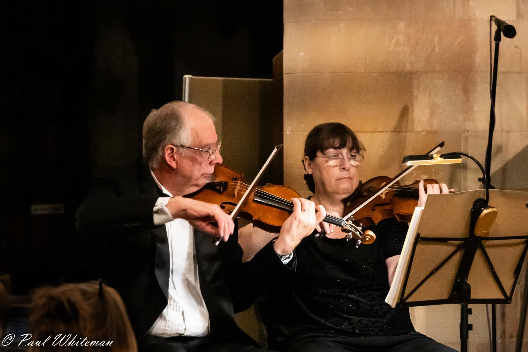 Rye Arts Festival Stringed Orchestra-2.jpg
