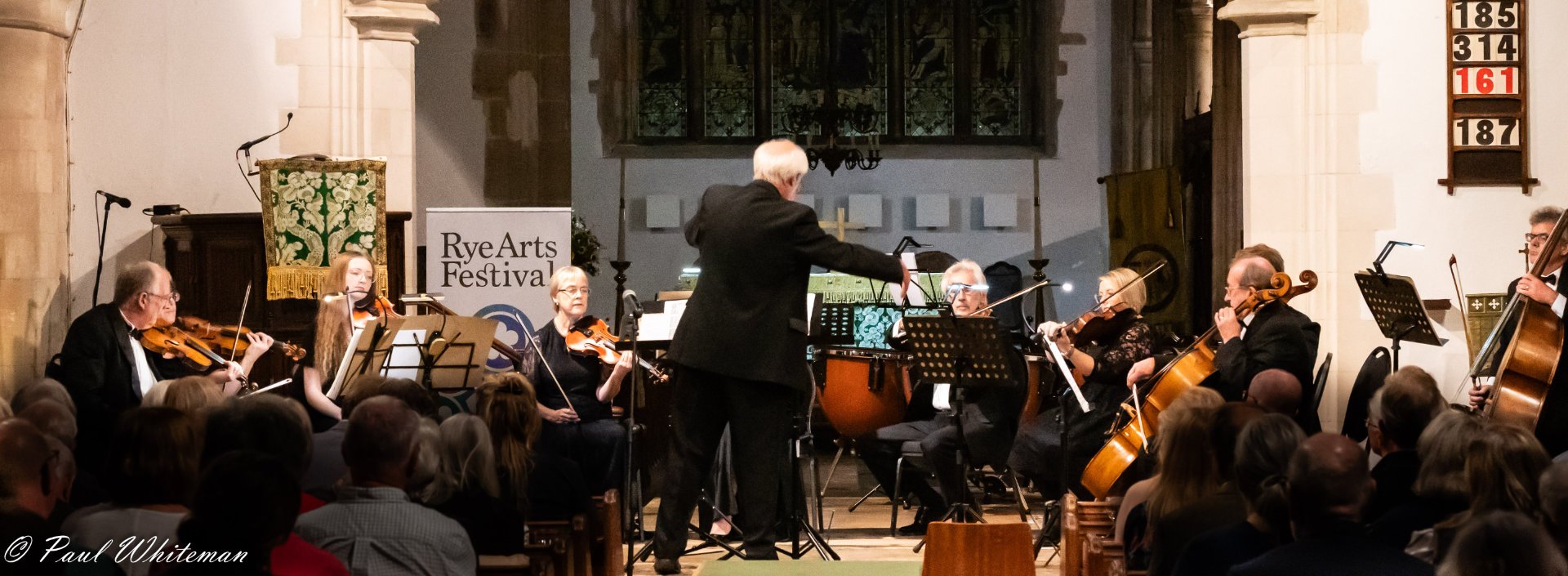 Rye Arts Festival Stringed Orchestra-3.jpg