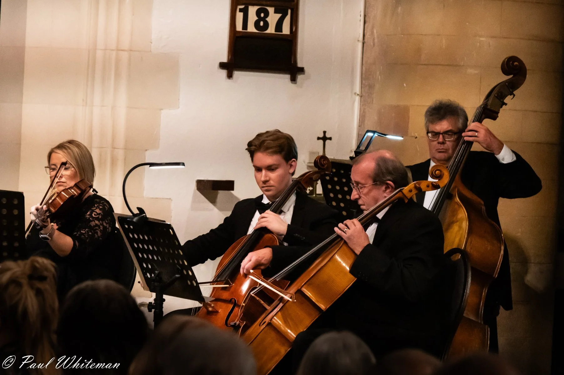 Rye Arts Festival Stringed Orchestra-4.jpg