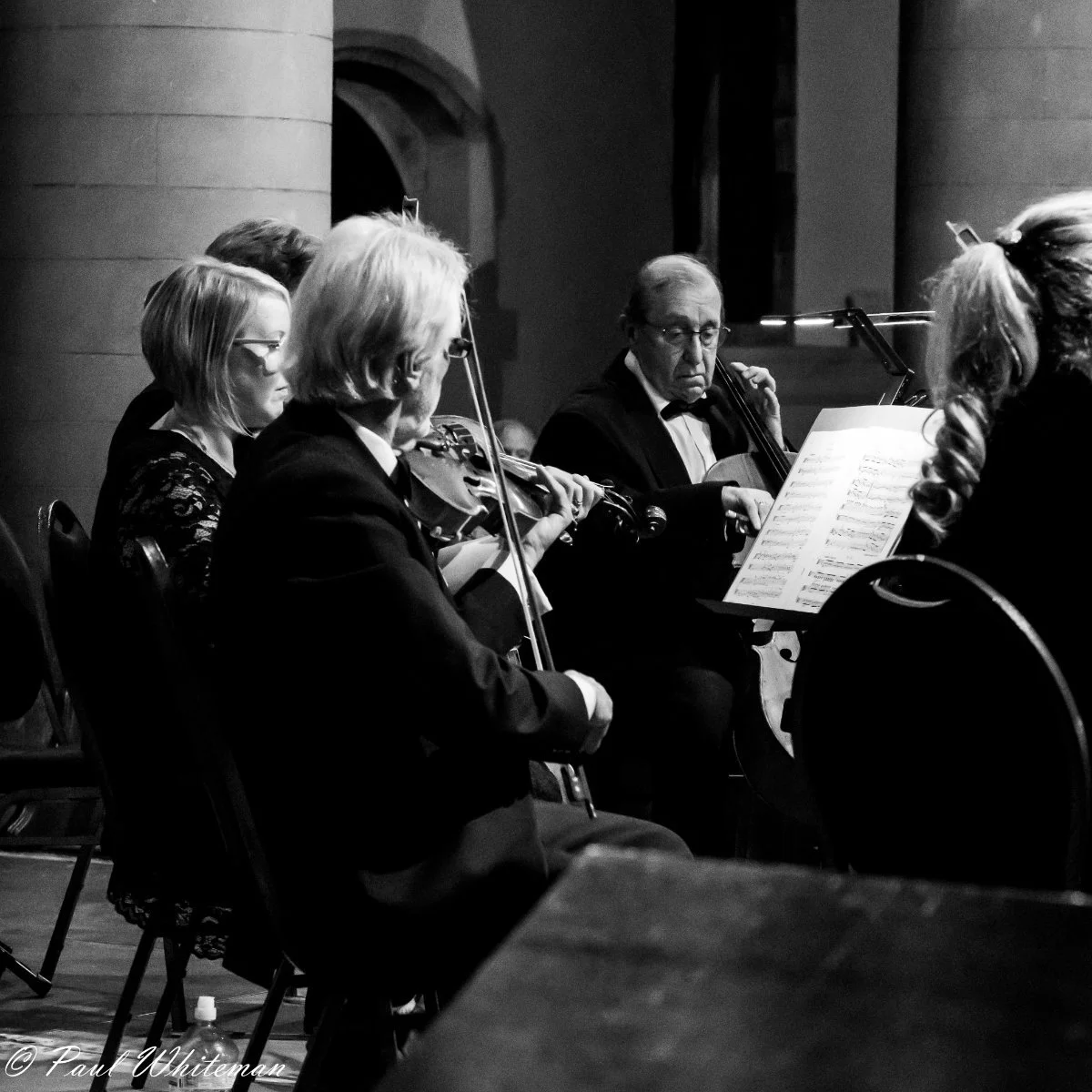 Rye Arts Festival Stringed Orchestra-9.jpg