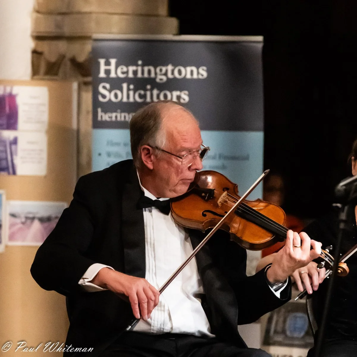 Rye Arts Festival Stringed Orchestra-10.jpg